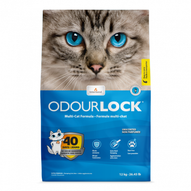 INTERSAND ODOURLOCK Clumping Unscented 12kg