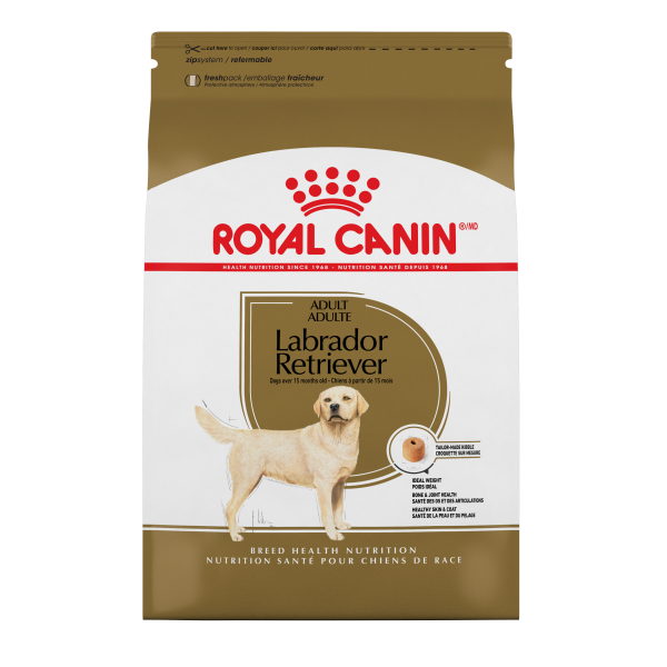 RC BHN Labrador Retriever 30 lb