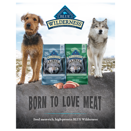 Blue Wilderness Born to Love Meat Sandwich Board Dog