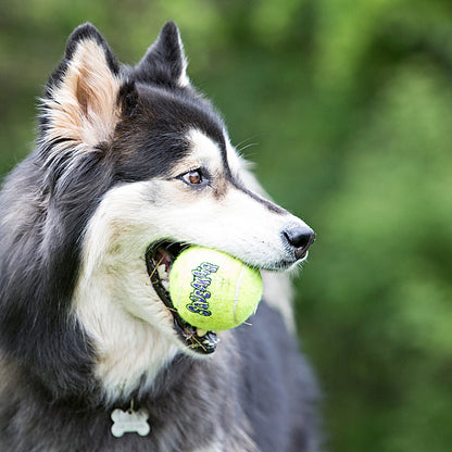 AirDog Squeaker Tennis Ball Small 3PK