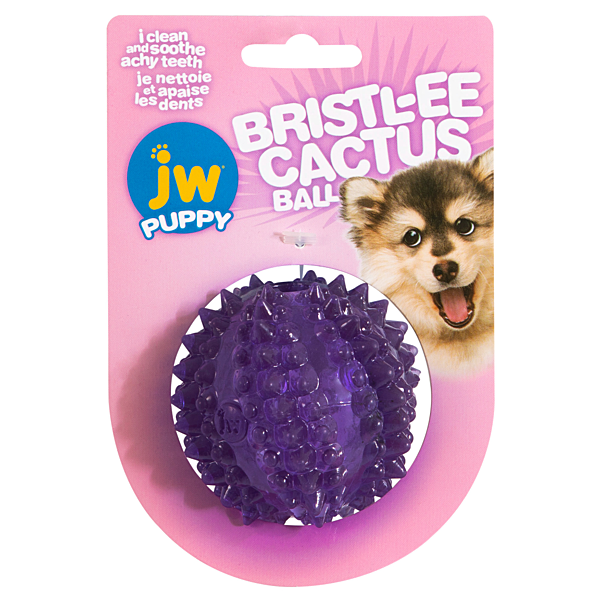 Bristl-ee Cactus Ball