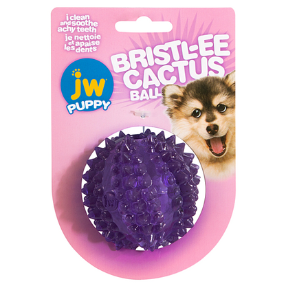 Bristl-ee Cactus Ball