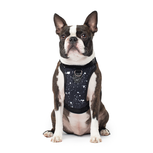 Canada Pooch Core Everything Harness Water-Rstnt Splatter L