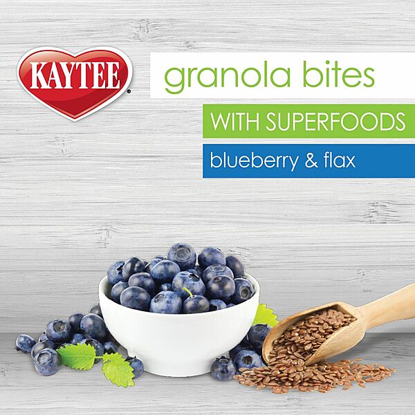 Super Pet Granola Bitesblueberry &flax 100z