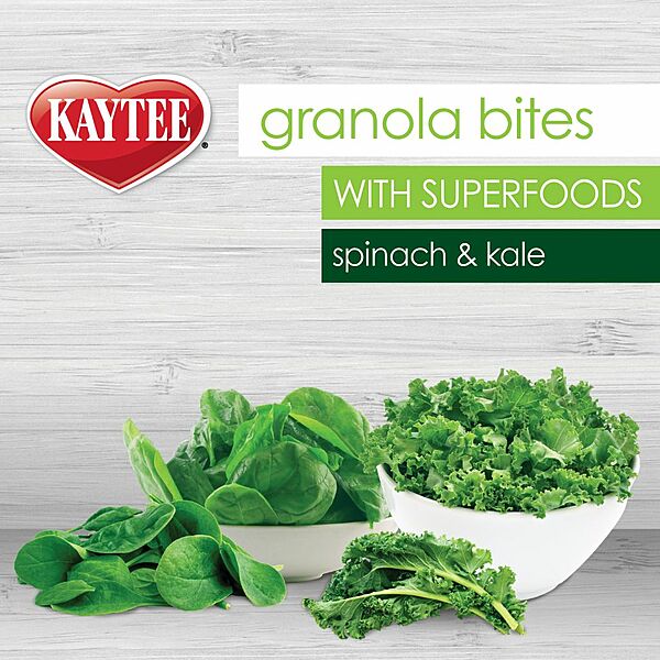 Super Pet Granola Bites Spinach & Kale 100z