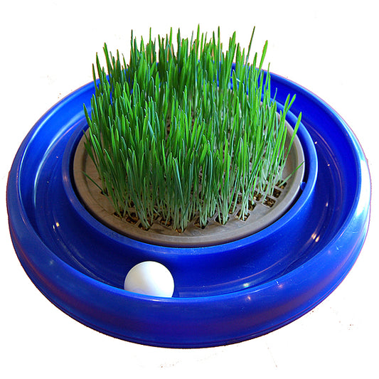 Grass For Turbo Scratcher & Star Chaser | Cat