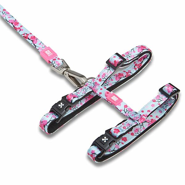 Neoprene Harness w/Leash Cherry Bloom | Cat