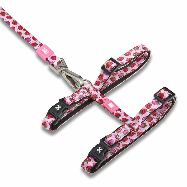 Neoprene Harness w/Leash Strawberry Dream| Cat