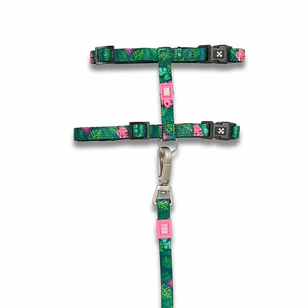 Neoprene Harness w/Leash Tropical | Cat